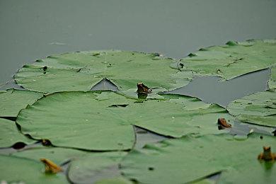 《我的世界》更新修复老BUG引争议 玩家联名请求官方回滚